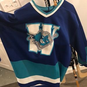 Worcester ice cats hockey jersey
